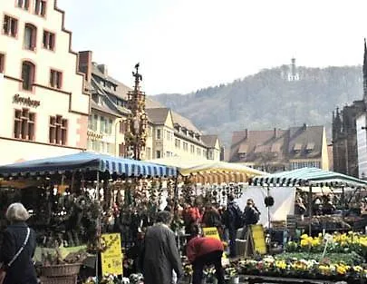 Designhotel Am Stadtgarten 4* Freiburg im Breisgau